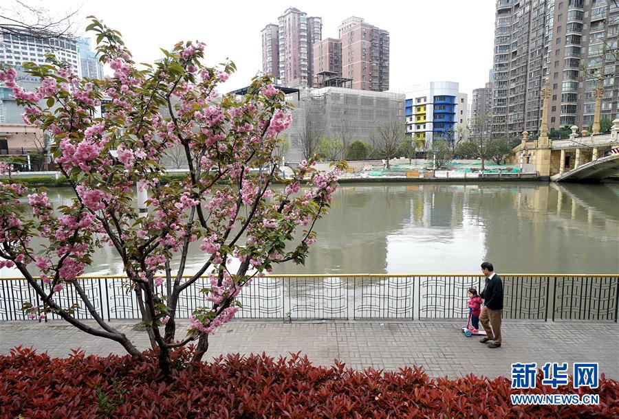 （新華全媒頭條·走向我們的小康生活·圖文互動）（12）城市，讓人民生活更美好