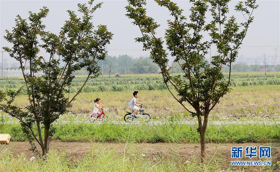 （新華全媒頭條·走向我們的小康生活·圖文互動）（14）城市，讓人民生活更美好