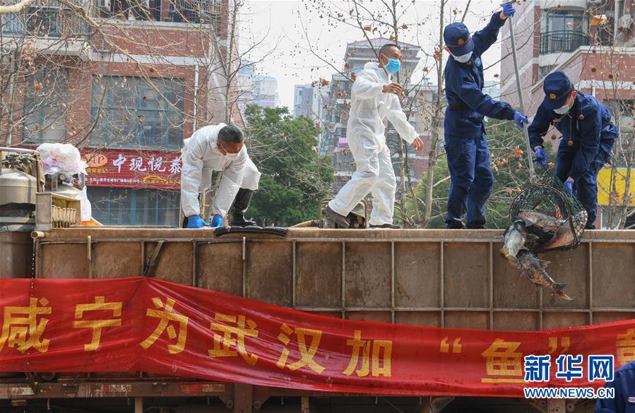 （新華全媒頭條·圖文互動）（12）從人民中汲取磅礴力量——習(xí)近平總書記同出席2020年全國兩會人大代表、政協(xié)委員共商國是紀(jì)實(shí)