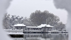 雪落人間