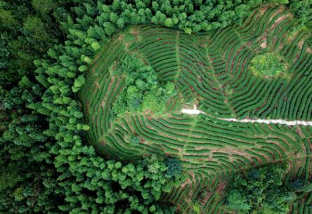 福建龍巖：高效用地，提升生態(tài)環(huán)境水平