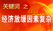 張平：今年經(jīng)濟出現(xiàn)放緩跡象是多重因素的影響