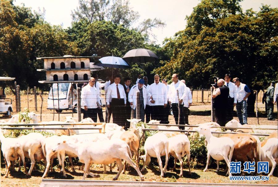 當(dāng)?shù)貢r間7月22日，國家主席習(xí)近平在哈瓦那親切探望古巴革命領(lǐng)袖菲德爾·卡斯特羅。 新華社發(fā)