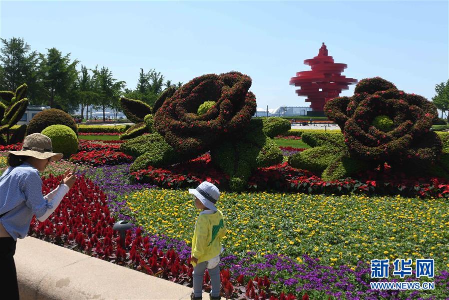 （上合青島峰會(huì)）（6）青島：花滿島城待賓朋  