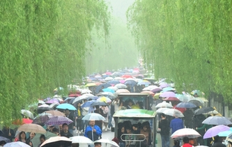 杭州：清明時節(jié)雨紛紛 西湖游客雨中游