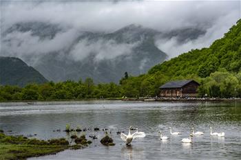 醉美神農(nóng)架大九湖